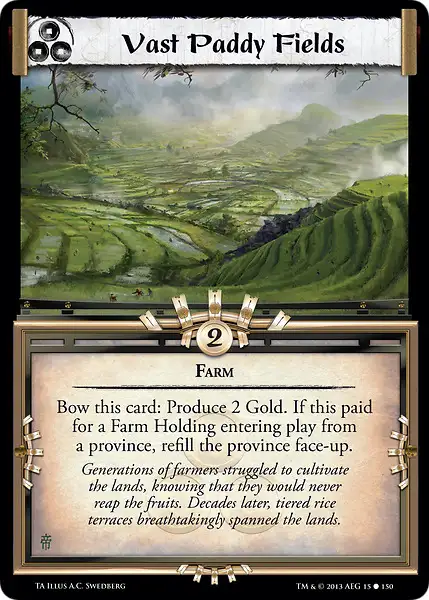 Vast Paddy Fields