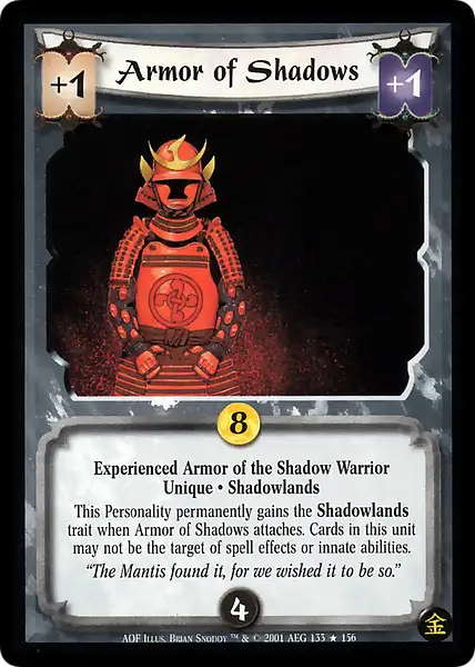 Armor of Shadows • Experienced