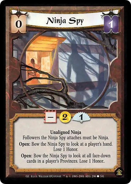 Ninja Spy